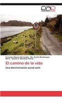 El camino de la vida