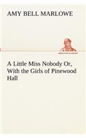 Little Miss Nobody Or, With the Girls of Pinewood Hall