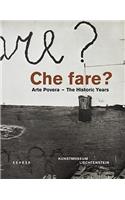 Che Fare?: Arte Povera: The Historic Years