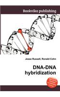 Dna-DNA Hybridization