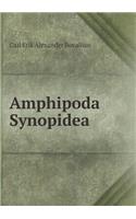 Amphipoda Synopidea