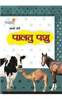Aao Jane Huamare Palthu Pashu