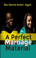 Perfect Marriage Material: Antidote to Marital Challenges