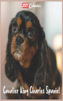 Cavalier King Charles Spaniel 2021 Calendar