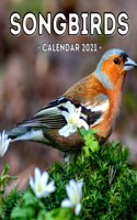 Songbirds Calendar 2021