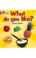 What Do You Like? Workbook: (Collins Big Cat)