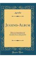 Jugend-Album: BlÃ¤tter Zur Angenehmen Und Lehrreichen Unterhaltung Im HÃ¤uslichen Kreise; Jahrgang 1858 (Classic Reprint)