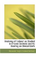 Anatomy of Labour as Studied in Frozen Sections and Its Bearing on Clinical Work