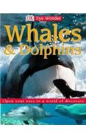 Whales and Dolphins