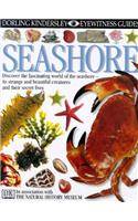 DK Eyewitness Guides:  Seashore