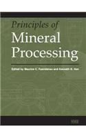Principles of Mineral Processing