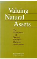 Valuing Natural Assets