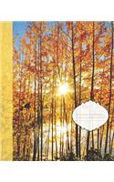 Pretty Fall Yellow Aspens Sunset Pond Nature Photograph College-ruled Lined School Composition Notebook