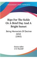 Ripe For The Sickle Or A Brief Day And A Bright Sunset