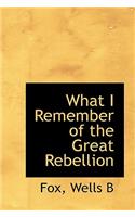 What I Remember of the Great Rebellion