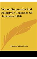 Wound Reparation And Polarity In Tentacles Of Actinians (1909)
