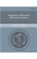 Integrated Collaborative Information Systems