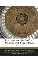 Idle Iron in the Gulf of Mexico