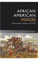 African American Voices 4e