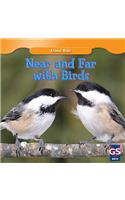Near and Far with Birds