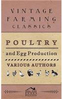 Poultry And Egg Production