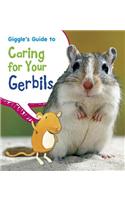 Pets Guides Giggles Guide to Caring for Your Gerbils