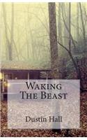 Waking The Beast