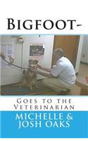 Bigfoot-Goes to the Veterinarian
