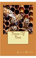 Boxes Of Bees: And How I Came to Manage Them(English)