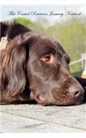 Flat Coated Retriever January Notebook Flat Coated Retriever Record, Log, Diary, Special Memories, To Do List, Academic Notepad, Scrapbook & More