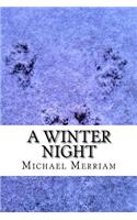 A Winter Night