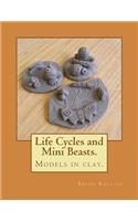 Life Cycles and Mini Beasts.