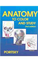 Anatomy to Color and Study