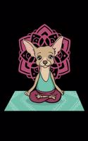 Chihuahua Yoga