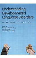 Understanding Developmental Language Disorders
