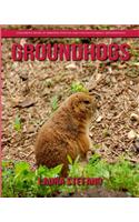 Groundhogs