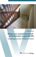 Wege zur sozialräumlich-orientierten Jugendhilfe