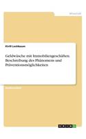 Geldwäsche mit Immobiliengeschäften. Beschreibung des Phänomens und Präventionsmöglichkeiten: (German)