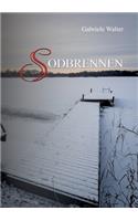 Sodbrennen