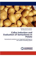 Callus Induction and Evaluation of Somaclones in Potato