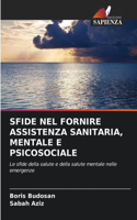 Sfide Nel Fornire Assistenza Sanitaria, Mentale E Psicosociale