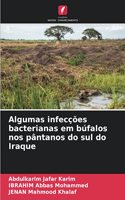 Algumas infecções bacterianas em búfalos nos pântanos do sul do Iraque