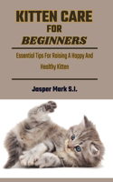 Kitten Care for Beginners