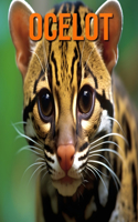 Ocelot: Des Informations et des Images Amusantes et Intéressantes concernant les Ocelot