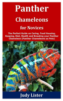 Panther Chameleons for Novices