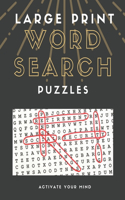 LARGE PRINT Word Search Puzzles: funster large print word search puzzles, large print word search, brain games large print word search, large print word search themed, large print w