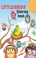 Little Birds Coloring Book