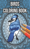 Birds Coloring Book
