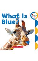 What Is Blue? (Rookie Toddler)