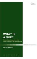 What Is a God?